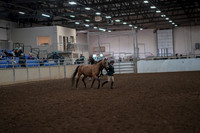 2019 Morgan Horse Show - Aug 31, 2019 - 01490