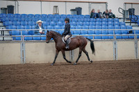 2019 Morgan Horse Show - Sept 01, 2019 - 12754