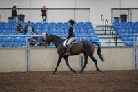 2019 Morgan Horse Show - Aug 31, 2019 - 08050