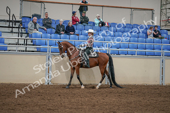 2020 - AB Morgan Horse - Fri, Sept 04 - 08312