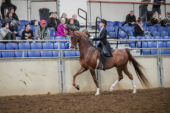 Spring Fling - Saturday - April 20, 2019  -  04144