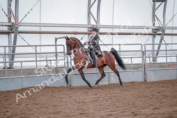 July 20, 2019 - 13785