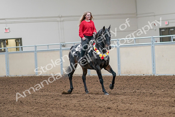 2020 - AB Morgan Horse - Sat, Sept 05 - 10493