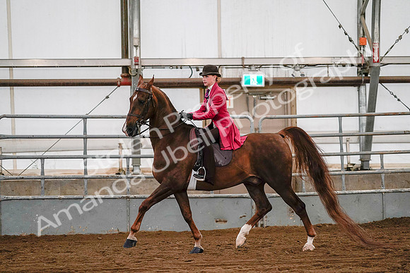 July 19, 2019 - 8745
