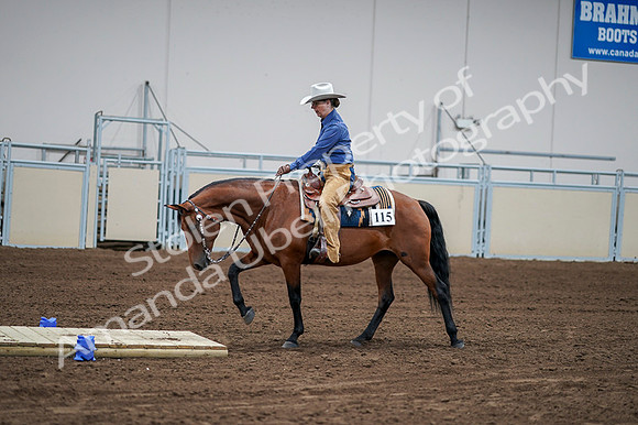 2020 - AB Morgan Horse - Fri, Sept 04 - 00157