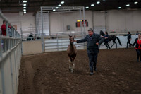 2019 Morgan Horse Show - Aug 31, 2019 - 00835