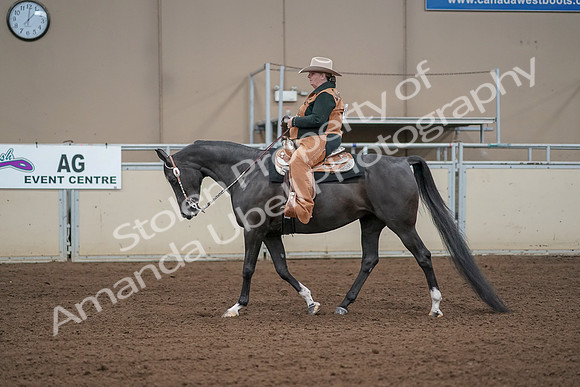 2019 Morgan Horse Show - Aug 31, 2019 - 06065