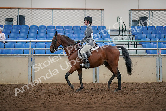 2019 Morgan Horse Show - Aug 30, 2019 - 23380