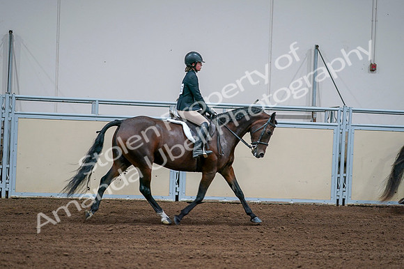 2020 - AB Morgan Horse - Fri, Sept 04 - 01823