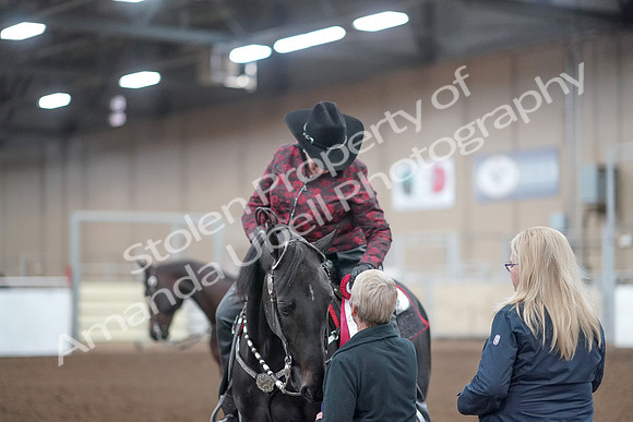 2019 Morgan Horse Show - Aug 31, 2019 - 10804