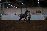 2019 Morgan Horse Show - Aug 31, 2019 - 03554