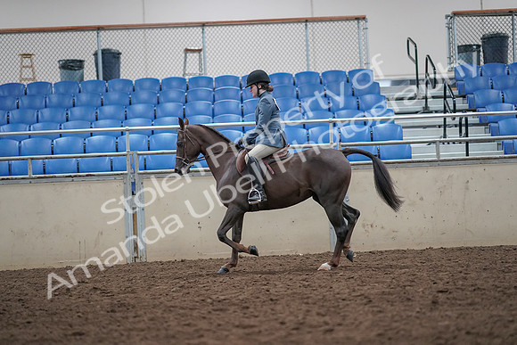 2019 Morgan Horse Show - Aug 31, 2019 - 16630
