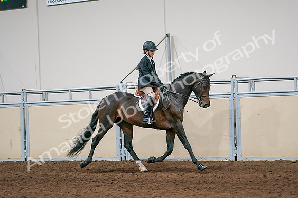 2020 - AB Morgan Horse - Sun, Sept 06 - 08076