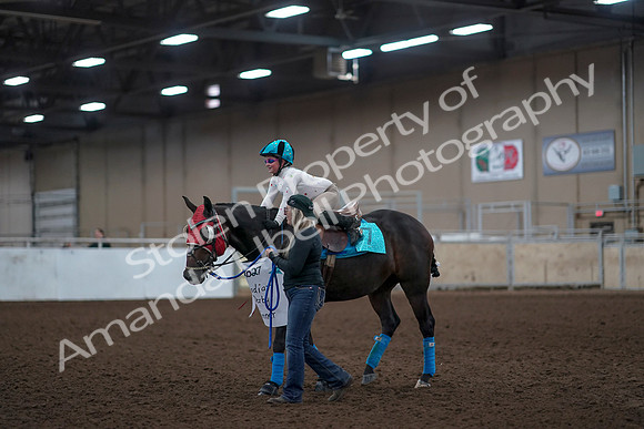 2019 Morgan Horse Show - Aug 31, 2019 - 10101