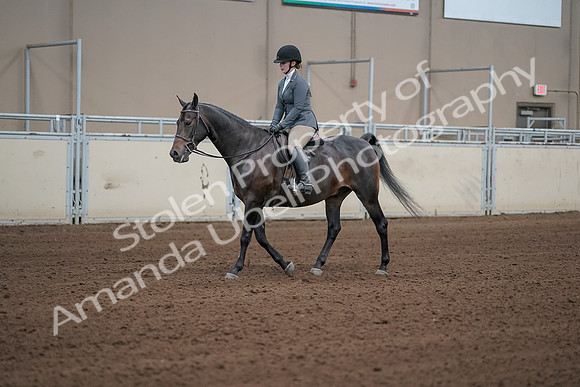 2019 Morgan Horse Show - Sept 01, 2019 - 10949_1