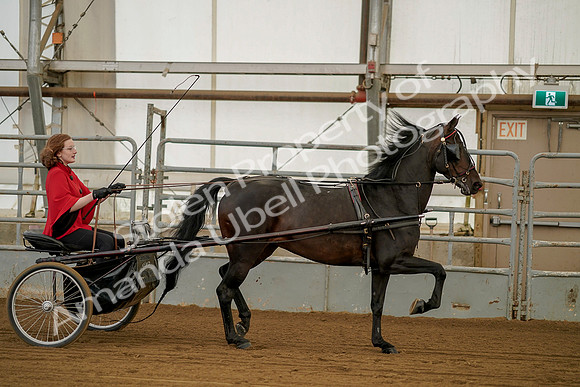 July 20, 2019 - 00217