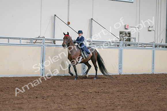 2020 - AB Morgan Horse - Sat, Sept 05 - 04903