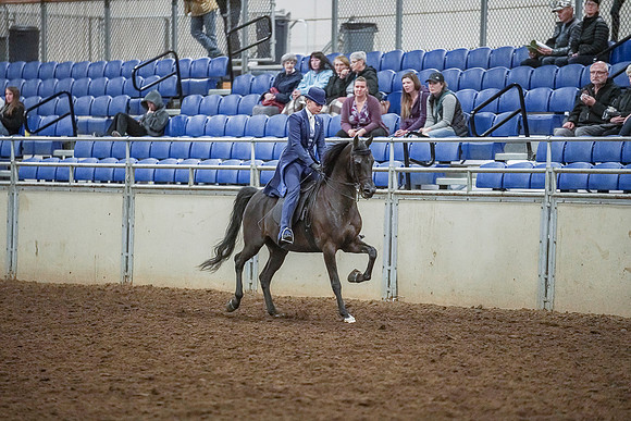 Spring Fling - Saturday - April 20, 2019  -  03923