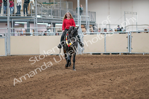 2020 - AB Morgan Horse - Sat, Sept 05 - 10520