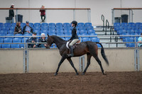 2019 Morgan Horse Show - Aug 31, 2019 - 08049