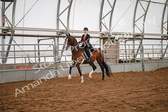 July 19, 2019 - 8695