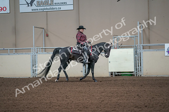 2019 Morgan Horse Show - Aug 31, 2019 - 10724