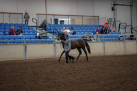 2019 Morgan Horse Show - Aug 30, 2019 - 25681