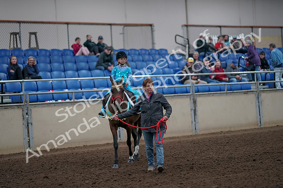 2019 Morgan Horse Show - Aug 31, 2019 - 09949