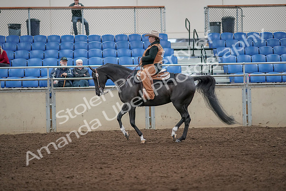 2019 Morgan Horse Show - Aug 31, 2019 - 06078
