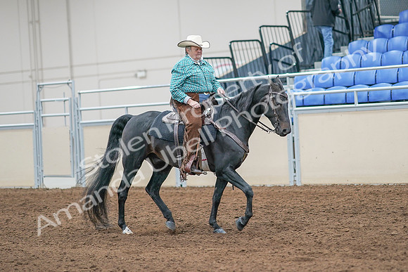 2020 - AB Morgan Horse - Sun, Sept 06 - 01624