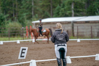 2019 Morgan Horse Show - Aug 30, 2019 - 00219