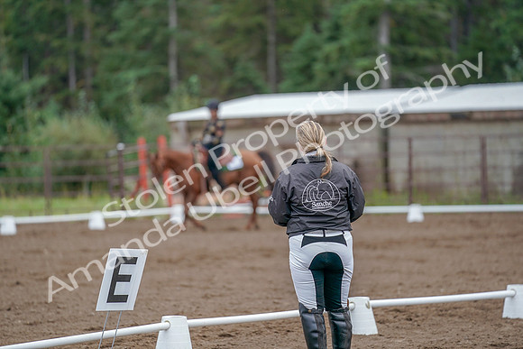 2019 Morgan Horse Show - Aug 30, 2019 - 00219