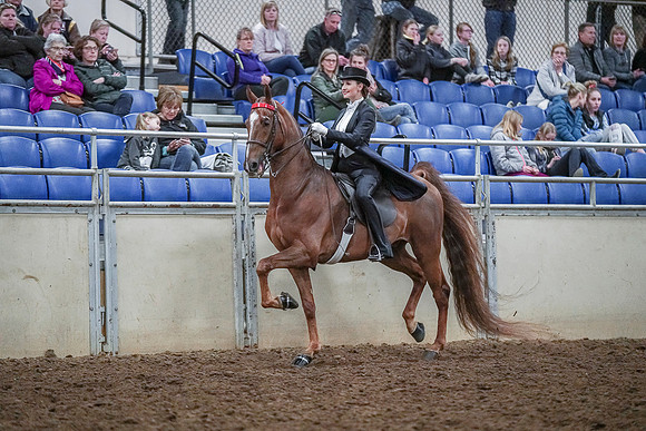 Spring Fling - Saturday - April 20, 2019  -  04369