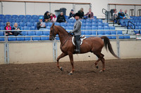 2019 Morgan Horse Show - Aug 31, 2019 - 13775