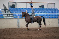 2019 Morgan Horse Show - Sept 01, 2019 - 06229