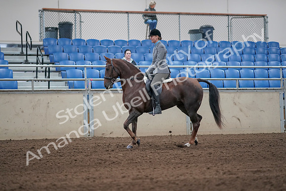 2019 Morgan Horse Show - Sept 01, 2019 - 06229