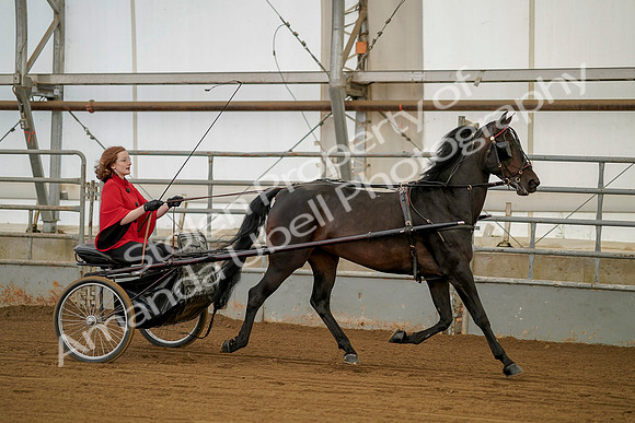 July 20, 2019 - 00209