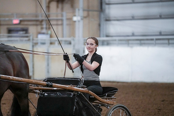 Spring Fling - Saturday - April 20, 2019  -  00314