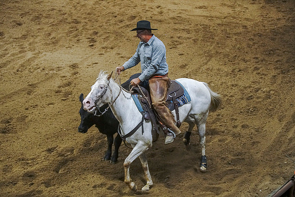 DSC01016