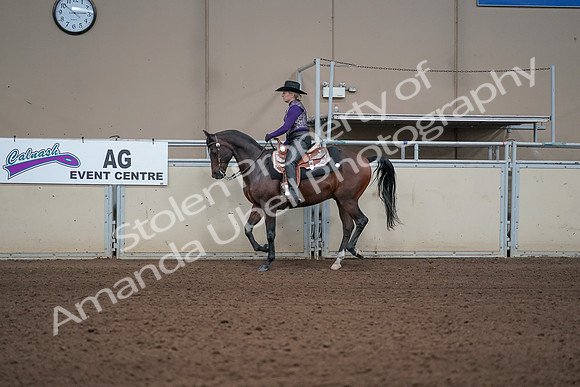 2019 Morgan Horse Show - Aug 31, 2019 - 10588