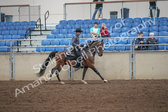 2019 Morgan Horse Show - Aug 31, 2019 - 06142