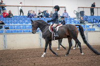 2019 Morgan Horse Show - Aug 31, 2019 - 19396