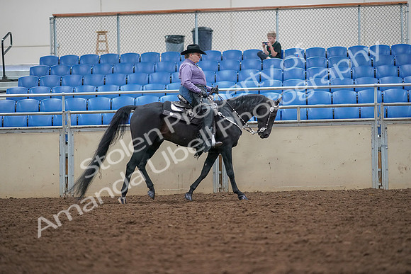 2019 Morgan Horse Show - Aug 30, 2019 - 16940
