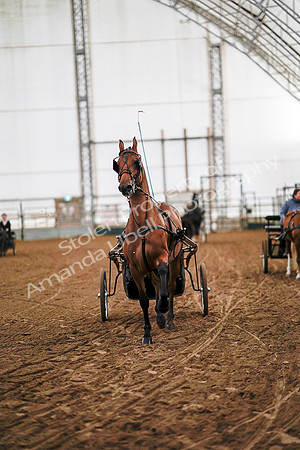 July 19, 2019 - 6793