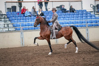 2019 Morgan Horse Show - Aug 31, 2019 - 21962