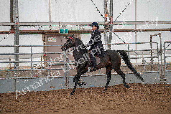 July 20, 2019 - 04495
