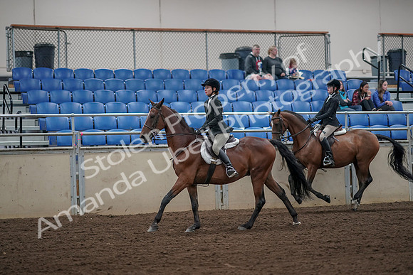 2019 Morgan Horse Show - Aug 31, 2019 - 05101