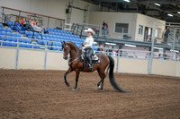 2020 - AB Morgan Horse - Fri, Sept 04 - 08252