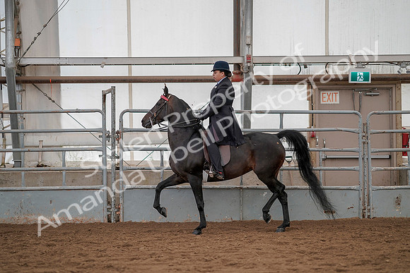 July 20, 2019 - 04224