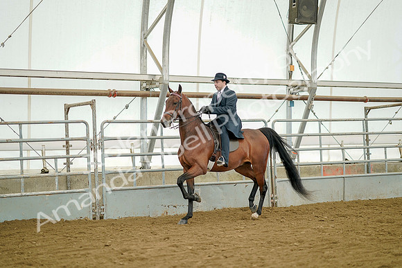 July 20, 2019 - 07352